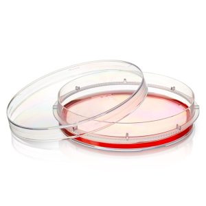 THERMO - Đĩa Nunc™ với bề mặt UpCell™