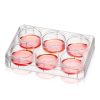 THERMO - Đĩa nuôi cấy nhiều giếng Nunc™ phủ Poly-D-Lysine hoặc Collagen I