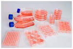 THERMO - Đĩa Nunclon™ Sphera™