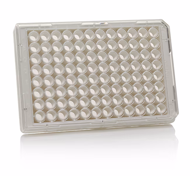 THERMO - Đĩa 96 giếng màu đen, đáy trong suốt, chưa xử lý bề mặt, không nắp, không tiệt trùng, đóng gói 10 cái