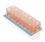 THERMO - Hệ thống lam kính có buồng Nunc™ Lab-Tek™