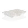 THERMO - Đĩa PCR 96-giếng, phân đoạn, viền bán phần