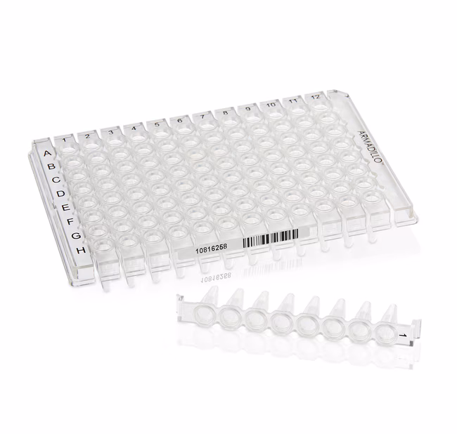 THERMO - Đĩa PCR mỏng Armadillo™, 96 giếng, trong suốt, giếng trắng