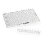 THERMO - Đĩa PCR mỏng Armadillo™, 96 giếng, trong suốt, giếng trắng