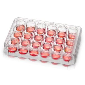 THERMO - Đĩa đa giếng Nunc™ không xử lý bề mặt