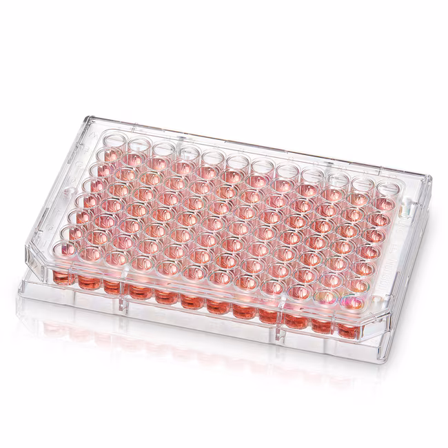 THERMO - Đĩa 96 giếng, đáy tròn (U), bề mặt nuôi cấy tế bào, không có nắp, đóng gói 1 đĩa