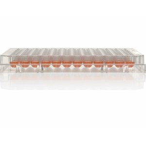 THERMO - Đĩa vi mô Nunc™ MicroWell™ 96 giếng