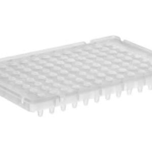 THERMO - Đĩa phản ứng quang học nhanh MicroAmp™ 96 giếng, 0.1 mL
