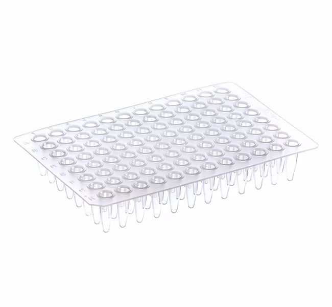 THERMO - Đĩa PCR 96 giếng, không viền