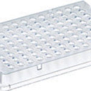THERMO - Đĩa PCR 96 giếng, dạng thấp, có viền, màu đỏ