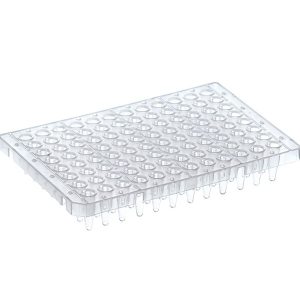 THERMO - Đĩa PCR 96 giếng, phân đoạn, có viền bán phần, màu trắng