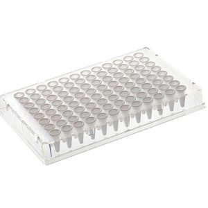 THERMO - Đĩa PCR Armadillo 96 giếng, màu đỏ, giếng màu trắng