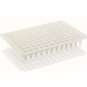 THERMO - Đĩa PCR, 96 giếng, thấp, không có viền, chữ màu đen