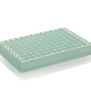 THERMO - Đĩa PCR, 96 giếng, thiết kế thấp, có viền, chữ đen, màu xanh lá