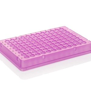THERMO - Đĩa PCR 96 giếng, dạng thấp, có viền, chữ màu đen, màu tím
