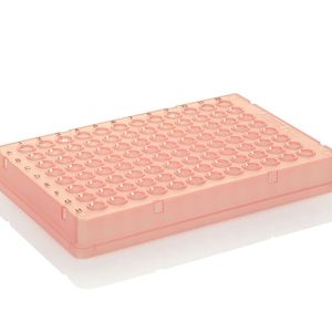THERMO - Đĩa PCR 96 giếng, dạng thấp, có viền, chữ màu đen, màu đỏ