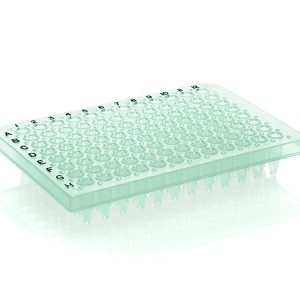 THERMO - Đĩa PCR, 96 giếng, bán viền, bề mặt phẳng, chữ màu đen, giếng màu xanh lá
