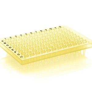 THERMO - Đĩa PCR, 96 giếng, viền bán phần, mặt phẳng, chữ đen, màu vàng