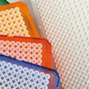 THERMO - Đĩa PCR Armadillo, 384 giếng, màu cam, giếng trắng