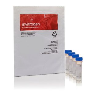 THERMO - Bộ kit nguồn điểm kính hiển vi PS-Speck™ (hạt huỳnh quang màu xanh dương, xanh lá, cam và đỏ đậm)