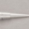 THERMO - Đầu lọc QSP và đầu pipet không lọc