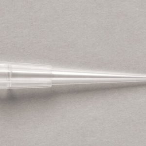 THERMO - Đầu lọc QSP và đầu pipet không lọc