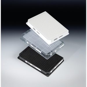 THERMO - Đĩa Nunc™ 384 giếng, đáy nông, chiều cao tiêu chuẩn, trong suốt