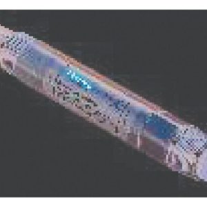 THERMO - Cảm biến điện trở suất dẫn điện AquaSensors™ DataStick™