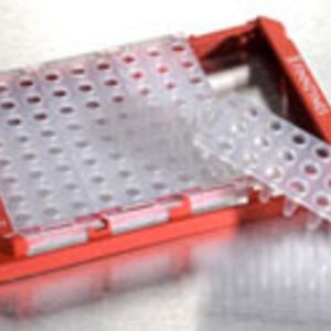 THERMO - Đĩa PCR Piko, 24 giếng, màu trắng