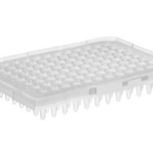 THERMO - Tấm phản ứng quang học 96 giếng MicroAmp™