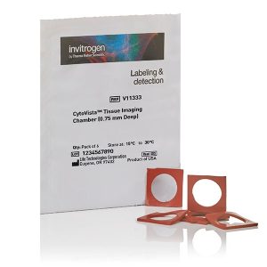 THERMO - Buồng hiển vi mô CytoVista™, sâu 0.75 mm