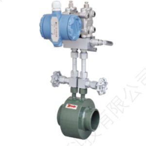 AICE TECH - Lưu lượng kế vòi phun RC-LGP
