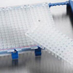 THERMO - Đĩa PCR Piko, 96 giếng, màu trắng