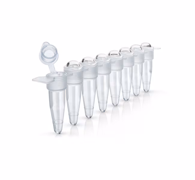 THERMO - Dải 8 ống MicroAmp™ có nắp vòm gắn liền, 0.2 mL