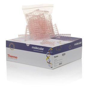 THERMO - Ống nghiệm, dạng dải 8 ống, màu đỏ