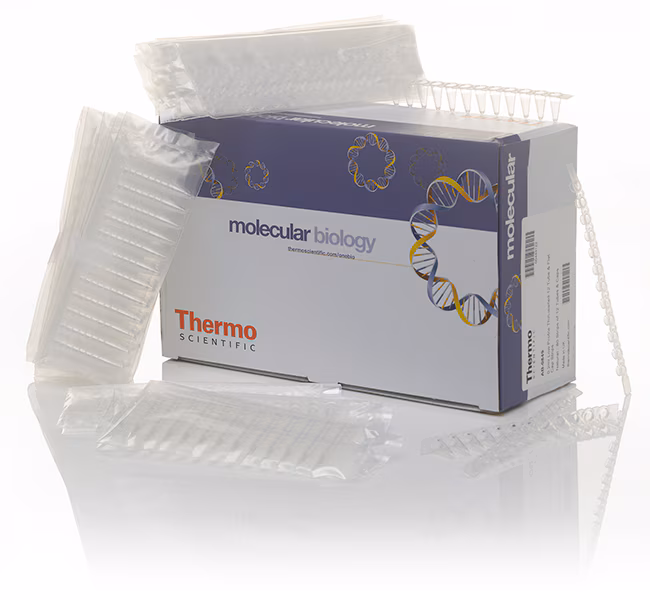 THERMO - Ống dạng thấp với nắp phẳng, dải 12 ống