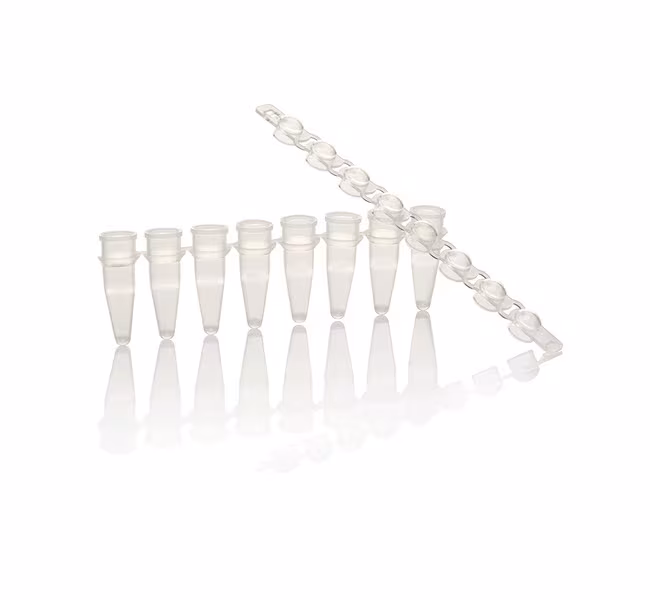 THERMO - Ống và nắp PCR, không chứa RNase, 0.2 mL (dạng 8 dải)