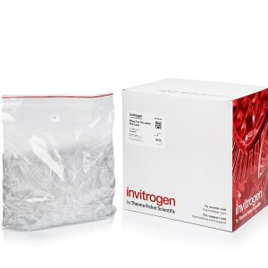 THERMO - Ống PCR có thành mỏng, nắp vòm, không chứa RNase (0.5 mL)