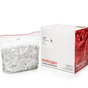 THERMO - Ống nghiệm vi sinh không chứa RNase