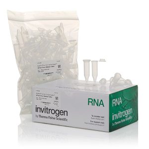 THERMO - Ống rửa giải không chứa RNase (2,0 mL)